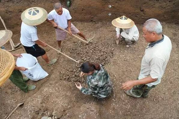 1471223144905016564.jpg 1471223144905016564.jpg