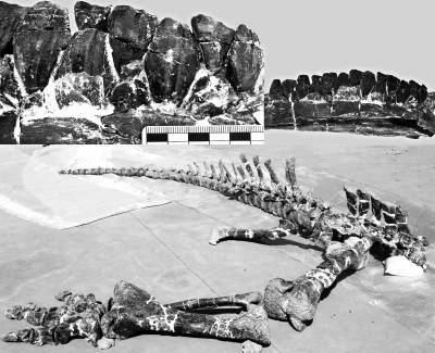 1471225747871051351.jpg 1471225747871051351.jpg