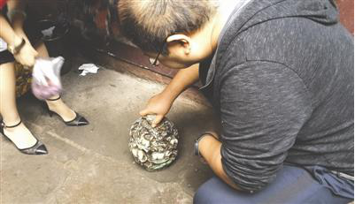 1471406494508042387.png 1471406494508042387.png