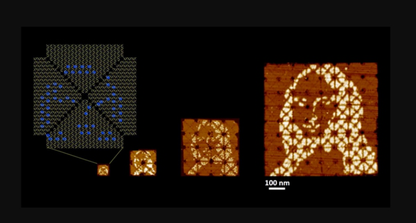 1513147432905043970.png