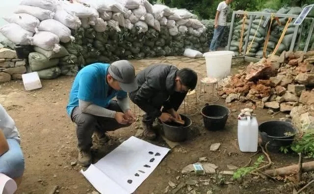 1575380116991067318.jpg 1575380116991067318.jpg