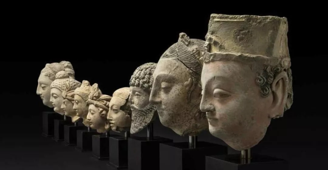 1575516692295016643.jpg 1575516692295016643.jpg