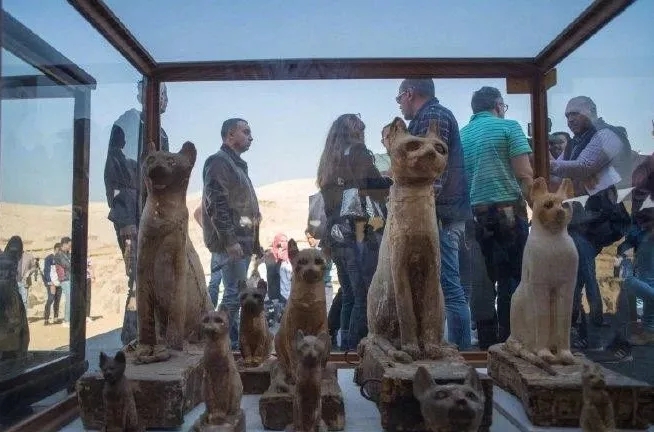 1575517320825058099.jpg 1575517320825058099.jpg