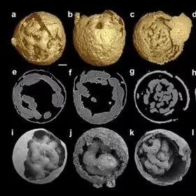 1575523485340065368.jpg 1575523485340065368.jpg