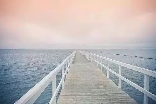 1580461019841093705.jpg