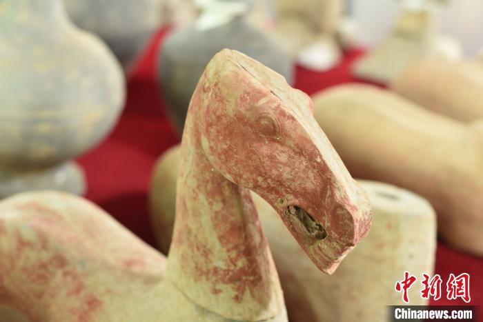 出土的陶马。 洛阳市文物考古研究院供图 摄 出土的陶马。 洛阳市文物考古研究院供图 摄