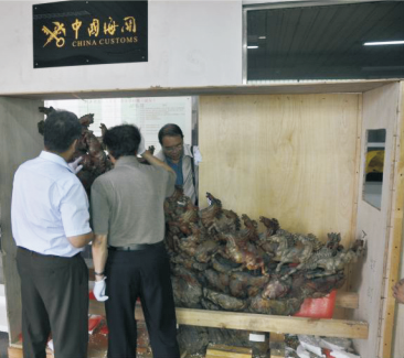 1766050132663032975.png 1766050132663032975.png