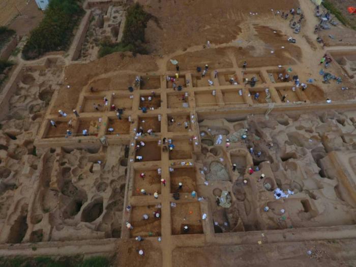 发掘现场。赵昊供图