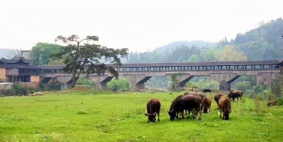 火灾前的万安桥